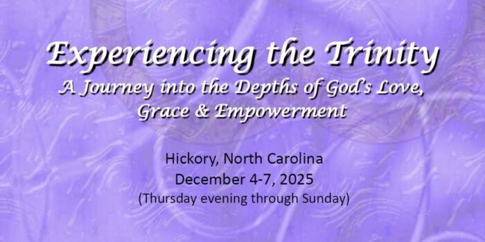 Experiencing the Trinity Logo